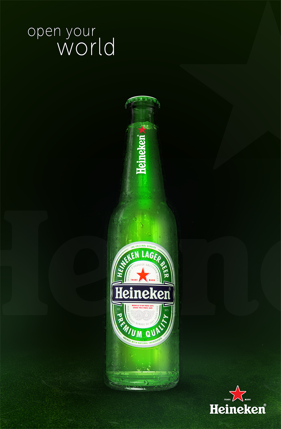 Heineken05